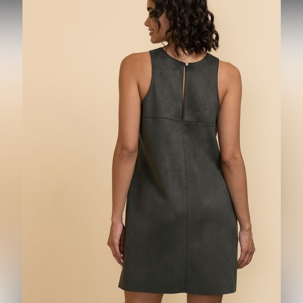 Rickis Sleeveless Faux Suede Dress Charcoal - Picture 3 of 8